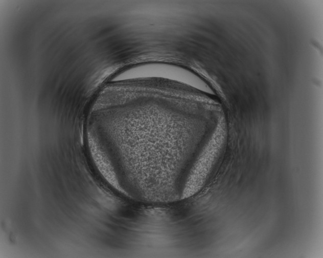 X0000091730062200709211028