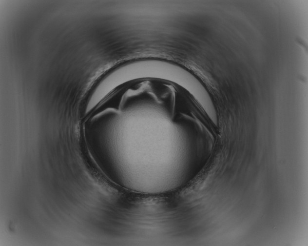 X0000091730064200709211028