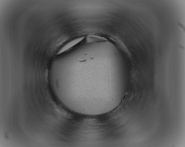 X0000091730066200709211028