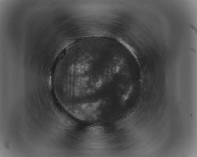 X0000091730067200709211028