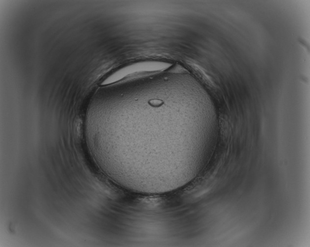 X0000091730071200709211028