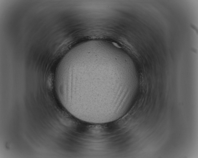 X0000091730074200709211028