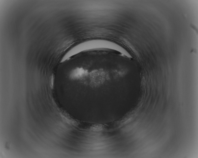 X0000091730076200709211028