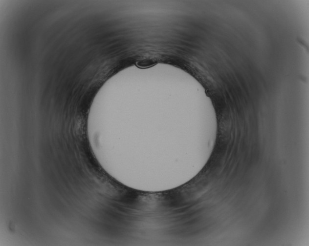 X0000091730079200709211028