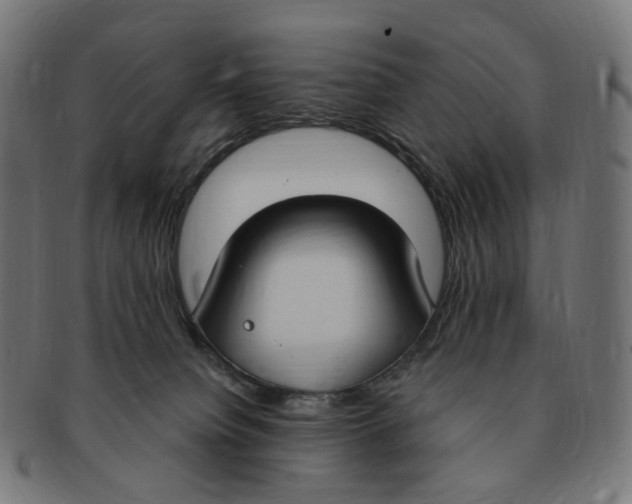 X0000091730084200709211028