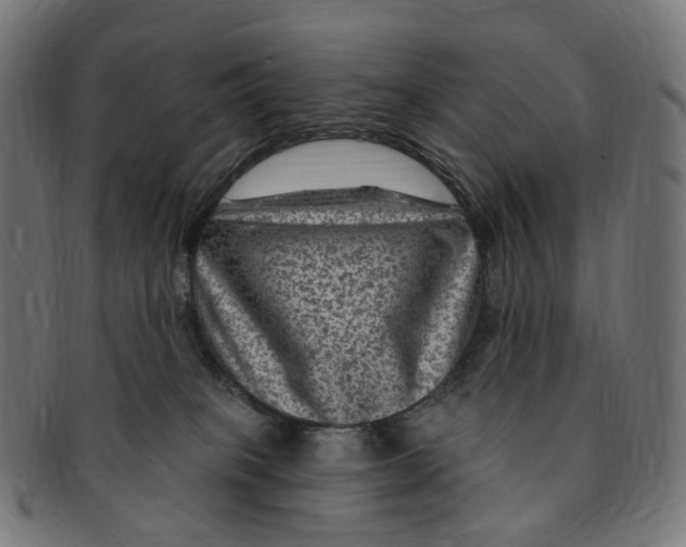 X0000091730085200709211028