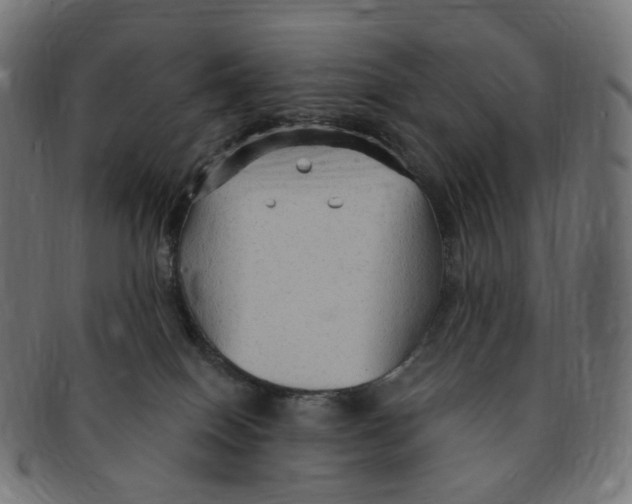 X0000091730086200709211028