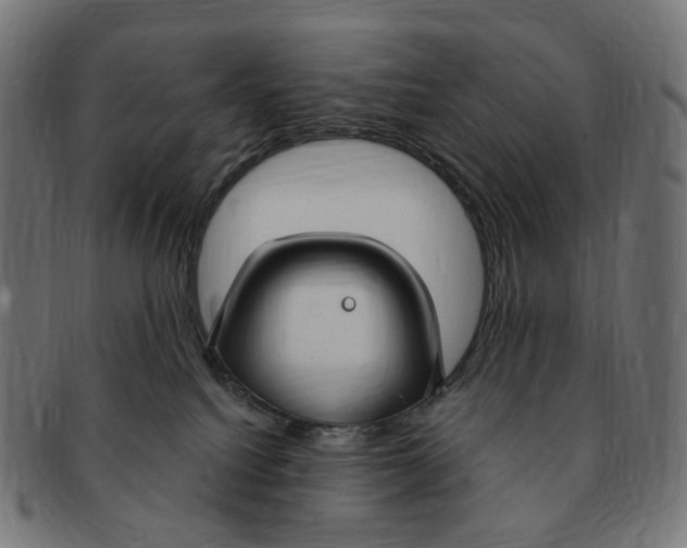 X0000091730088200709211028