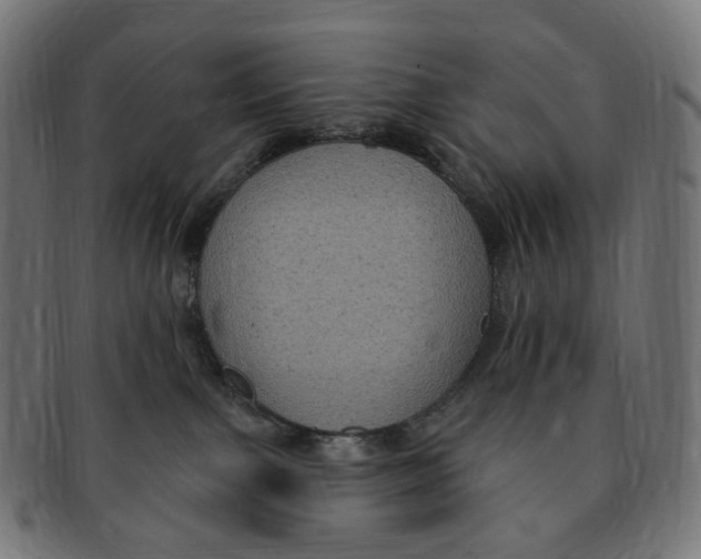 X0000091730091200709211028