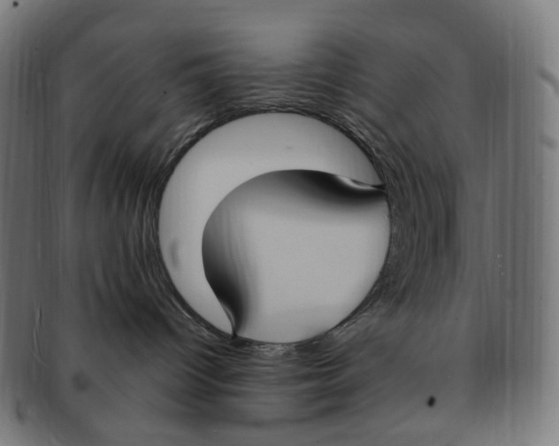 X0000091730096200709211028