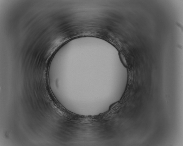 X0000091730098200709211028