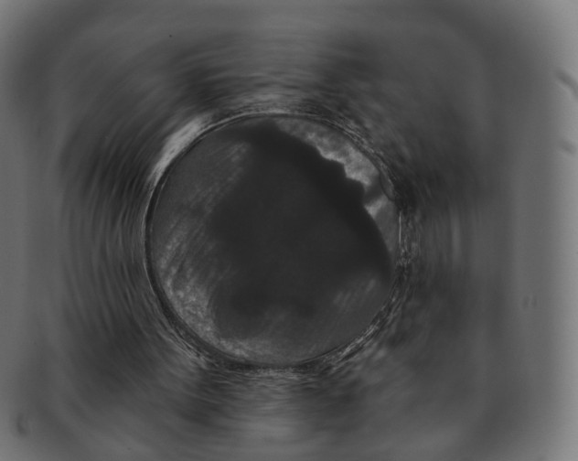 X0000091730099200709211028