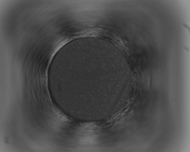 X0000091730100200709211028