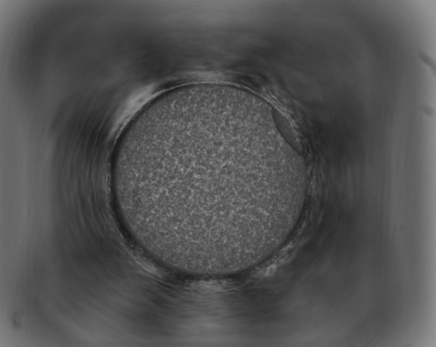 X0000091730103200709211028