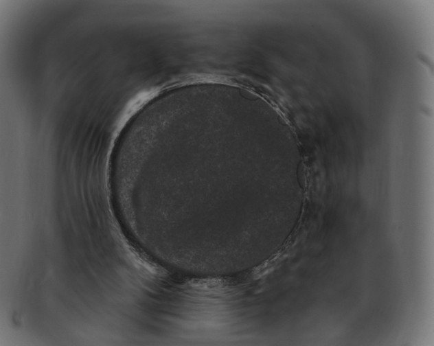 X0000091730104200709211028