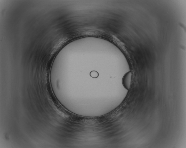 X0000091730106200709211028