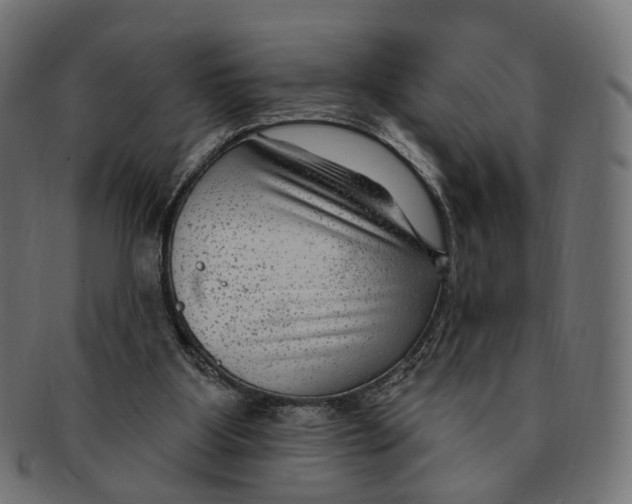 X0000091730107200709211028