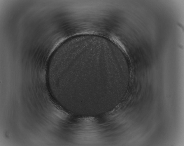 X0000091730108200709211028