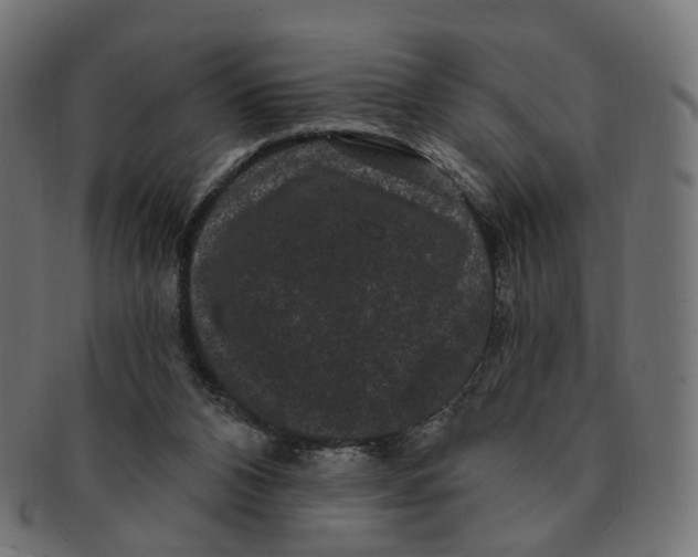 X0000091730112200709211027