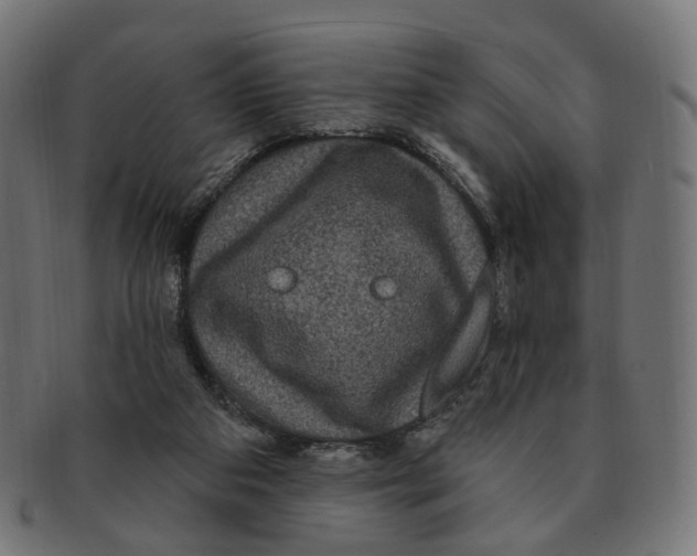 X0000091730113200709211027