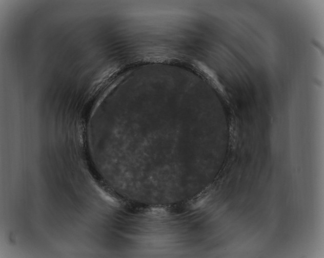 X0000091730114200709211027