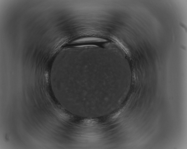 X0000091730117200709211027