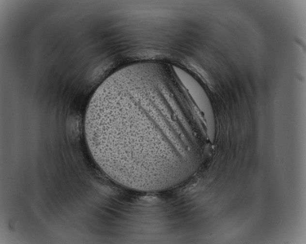 X0000091730119200709211027