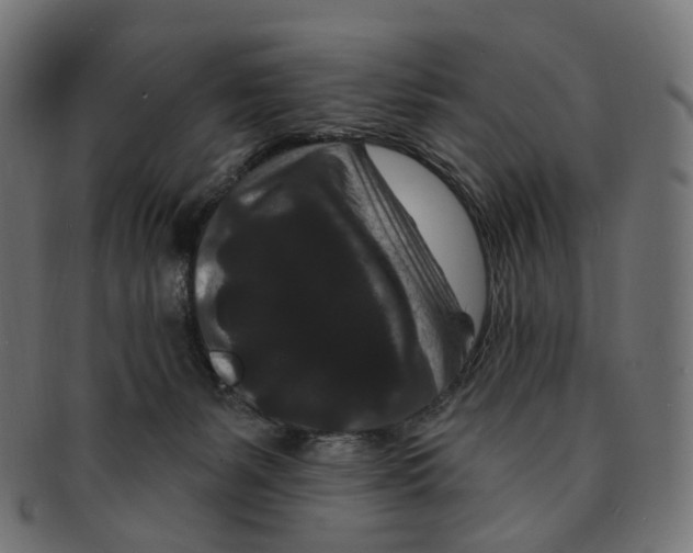 X0000091730127200709211027