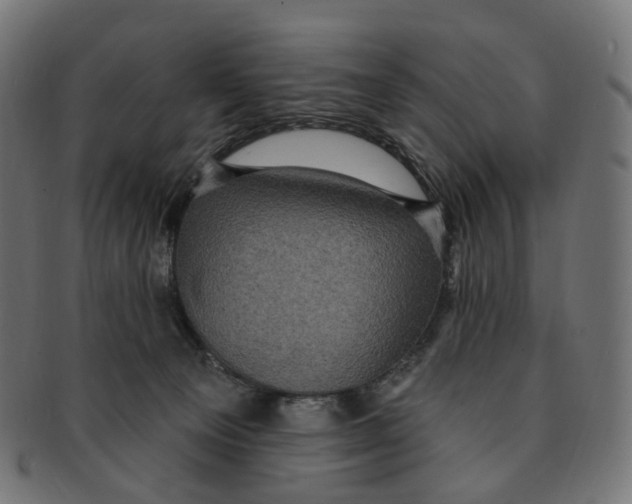 X0000091730129200709211027