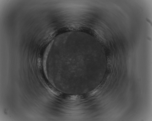 X0000091730130200709211027