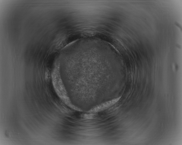 X0000091730134200709211027