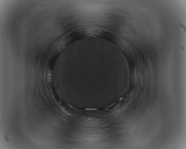 X0000091730137200709211027