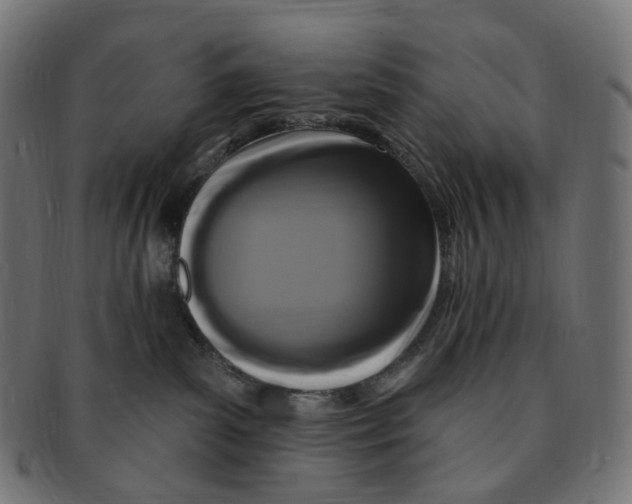 X0000091730139200709211027