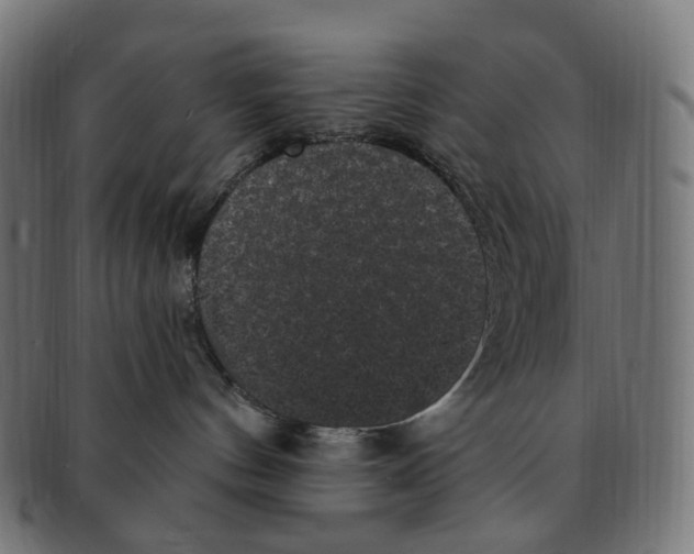 X0000091730144200709211027