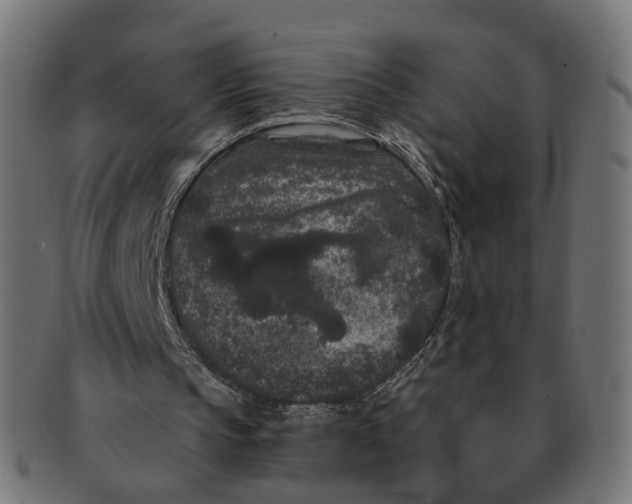 X0000091730145200709211027