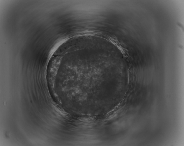 X0000091730147200709211027