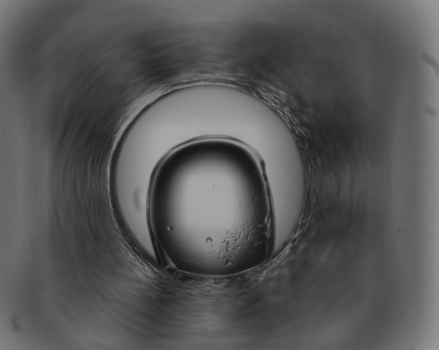 X0000091730148200709211027