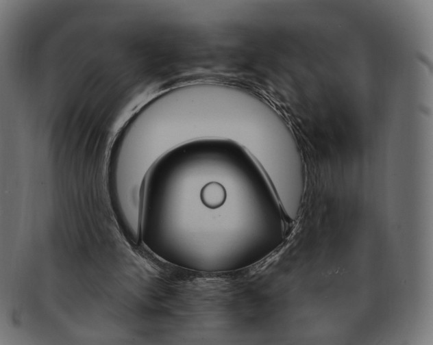 X0000091730150200709211027