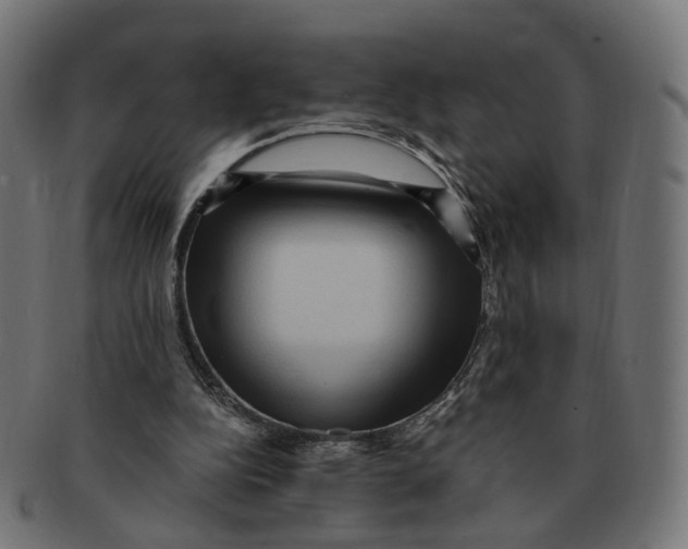 X0000091730152200709211027