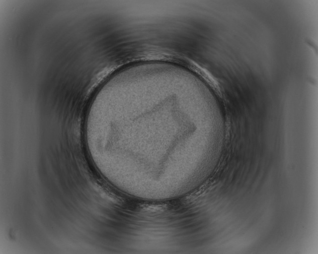 X0000091730155200709211027