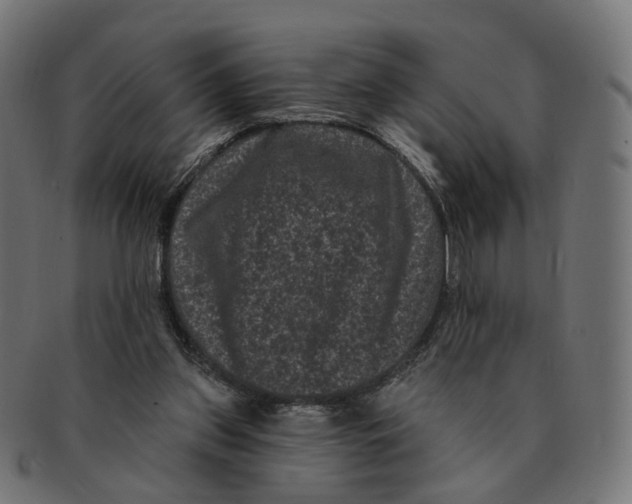 X0000091730157200709211027