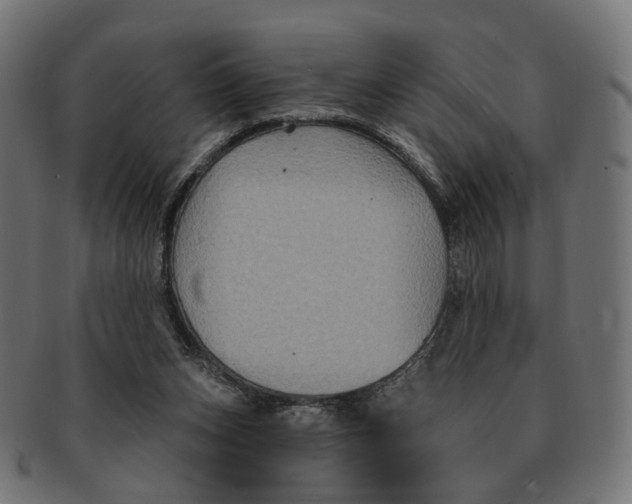 X0000091730159200709211027