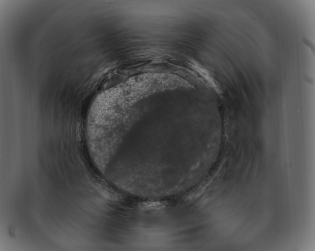 X0000091730161200709211027