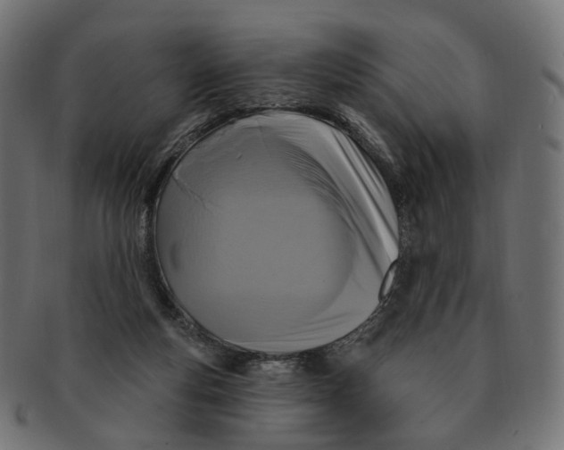 X0000091730163200709211027