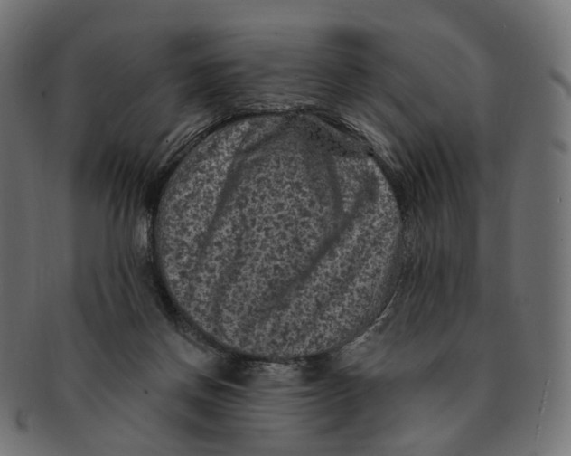 X0000091730166200709211027