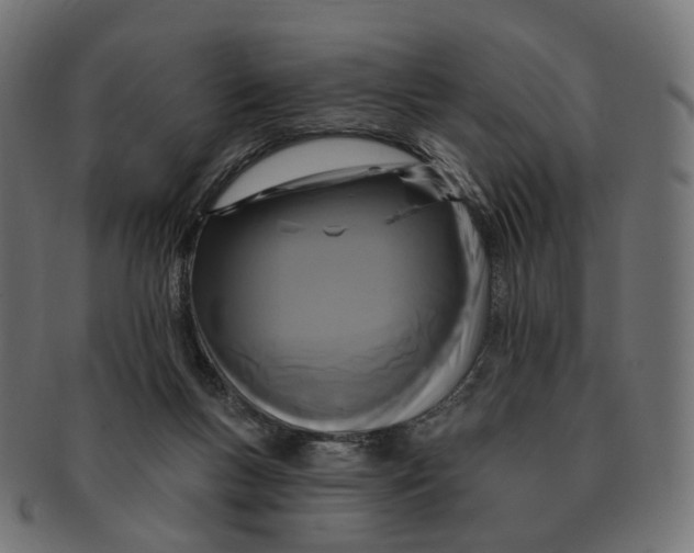 X0000091730167200709211027