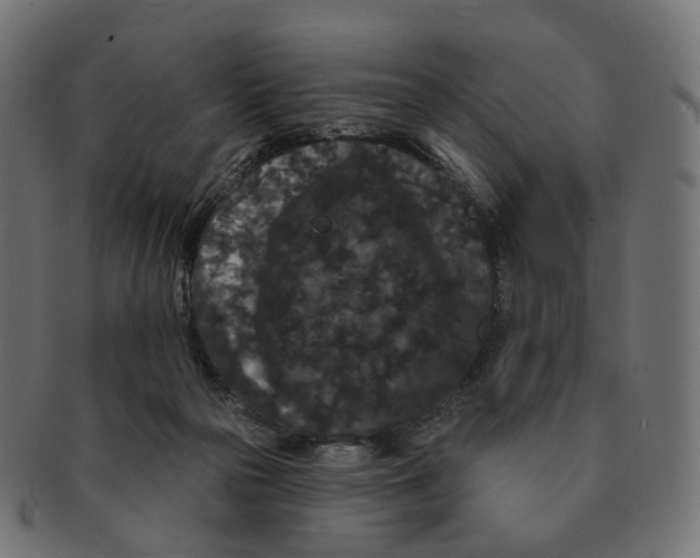 X0000091730169200709211027