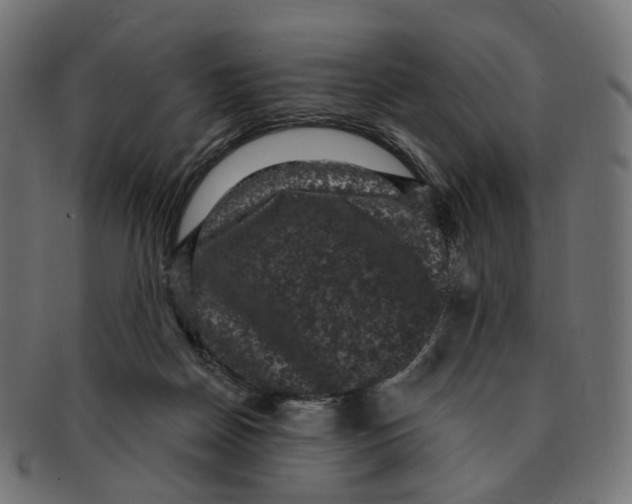 X0000091730170200709211027