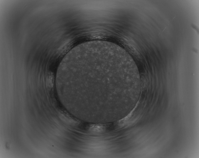 X0000091730174200709211027