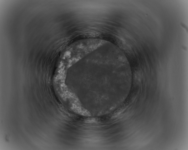 X0000091730177200709211027